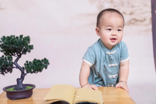 承德可爱的企鹅宝宝